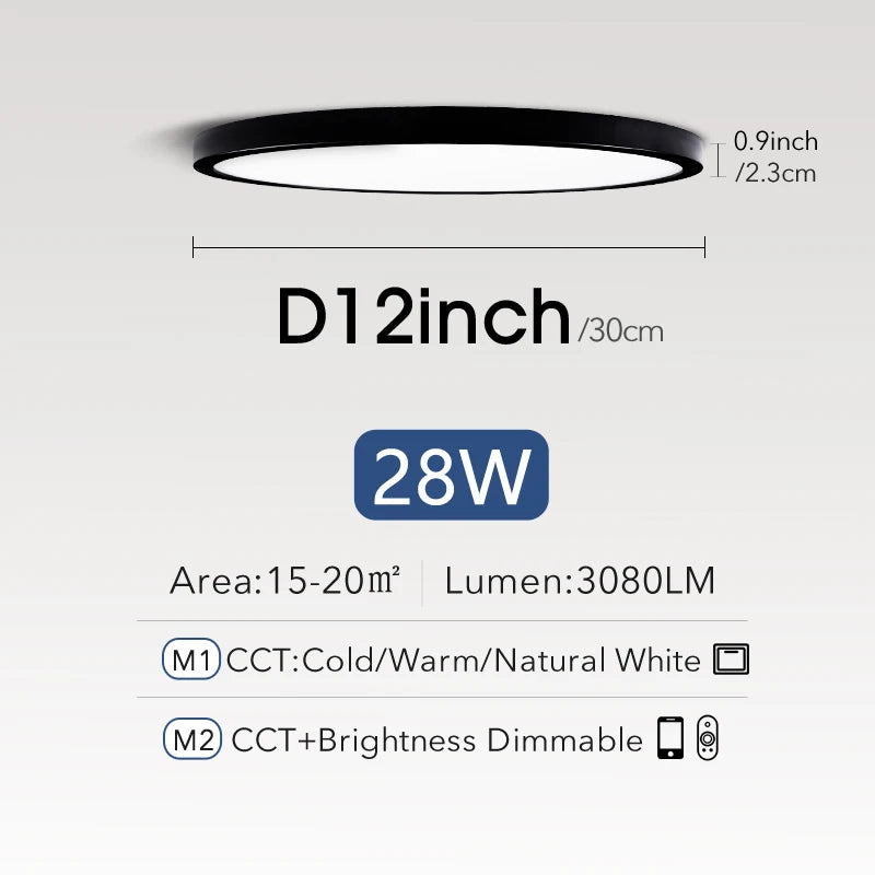Smart LED ceiling light room