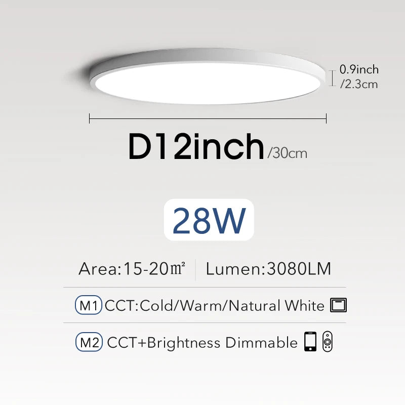 Smart LED ceiling light room